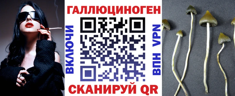 продажа наркотиков  Чистополь  Галлюциногенные грибы Psilocybe 